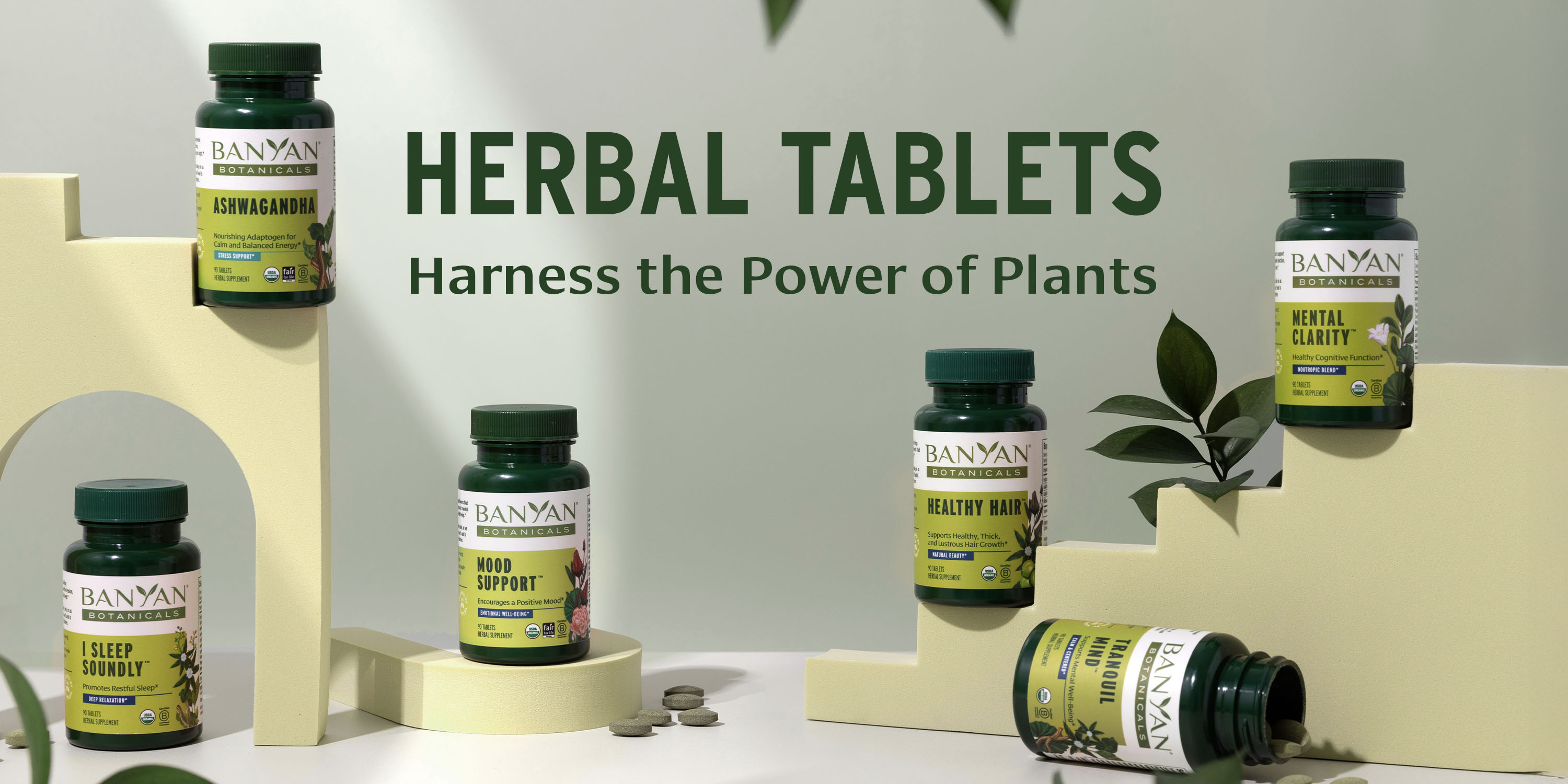 Timeless Wisdom, Modern Wellness
